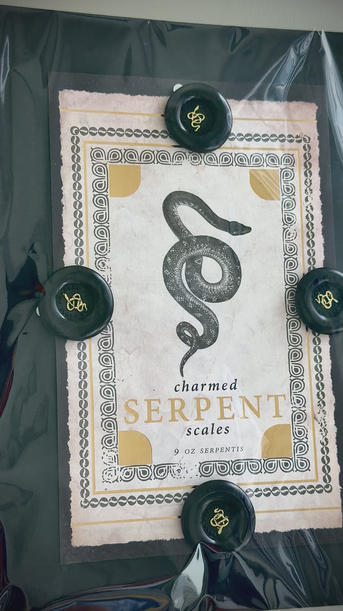 Charmed Serpent Wax Seal Stickers — Set of 4